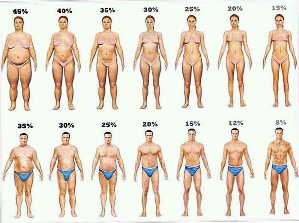 pourcentage de graisse corporelle et perte de poids avec un régime cétogène
